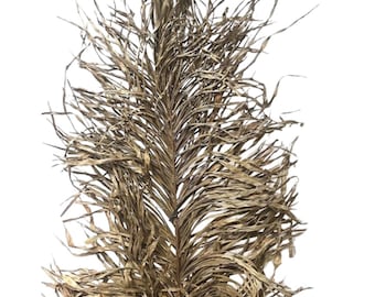 6FT Natural Inaja Palm Leaf/Pampas/Natural Stalk/Natural Branches/Rustic Decor/Home Decoration/Home Decor/Winter Wedding/Wedding Centrepiece