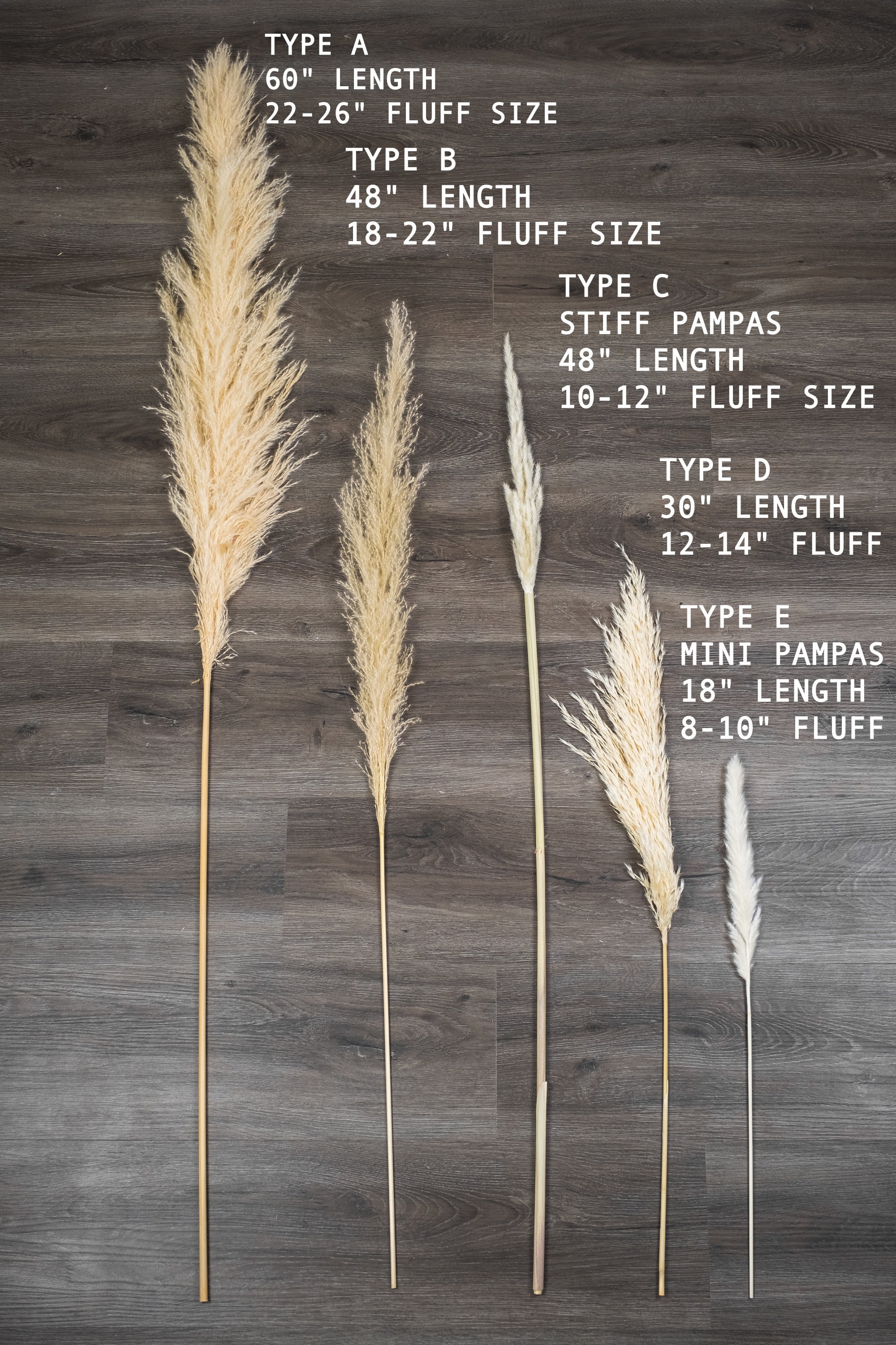 Black Mini Pampas Grass Bundle