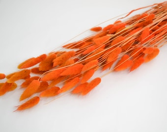NEW 50 Piece Burnt Orange BUNNY TAILS/ Pampas Bundle/Home Decor/Rustic Wedding Decor/Dried Bunny Tail/Ivory Pampas/Autumn Decor/Largus