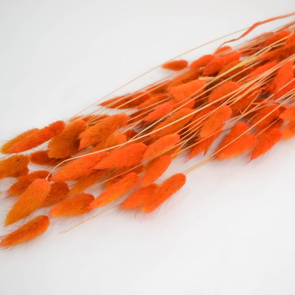 NIEUWE 50 Stuk Verbrand Oranje BUNNY TAILS/ Pampas Bundel/Home Decor/Rustiek Bruiloft Decor/Gedroogde Bunny Tail/Ivoor Pampas/Herfst Decor/Largus