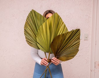 3pc 50" Moss Green Anahaw/ivory Palm/red palm/brown palm/Home Decor/VaseDecor/CenterpiecWedding Decor/Silk Flowers/Anahaw leaves