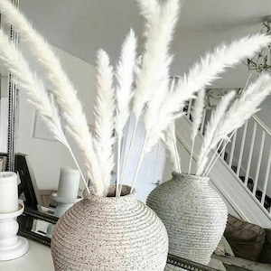 6-12-24-48-60pc 23&quot; MINI White Pampas Grass/Assorted Sizes/Home Decor/Rustic Wedding Decor/Blush Wedding/Blush Pampas/Light Pink Pampas/