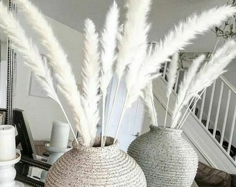 May include: Two white ceramic vases with a speckled finish, filled with dried white pampas grass.