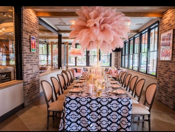 Blush sale ostrich feathers