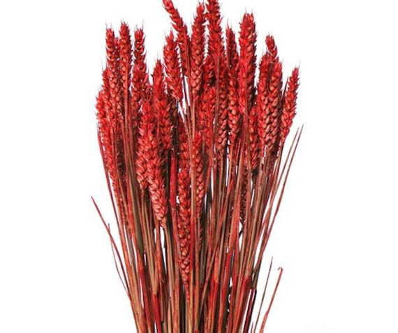 blumenkasten balkon anthrazit JARDI 50 Anthrazit – Balkonkasten 50x17x17 cm 8 kg Naturschiefer Schwa –  CLIMAQUA main image 1