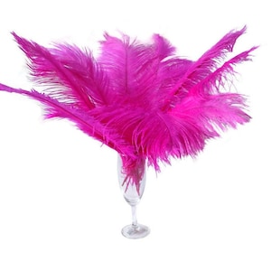May include: A bunch of bright pink ostrich feathers arranged in a glass vase. The feathers are soft and fluffy, and they would be perfect for a craft project or a decorative accent.