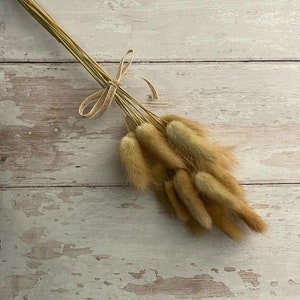 May include: A bunch of dried bunny tail grass tied together with a brown ribbon. The grass is a light brown color and has a soft, fluffy texture.