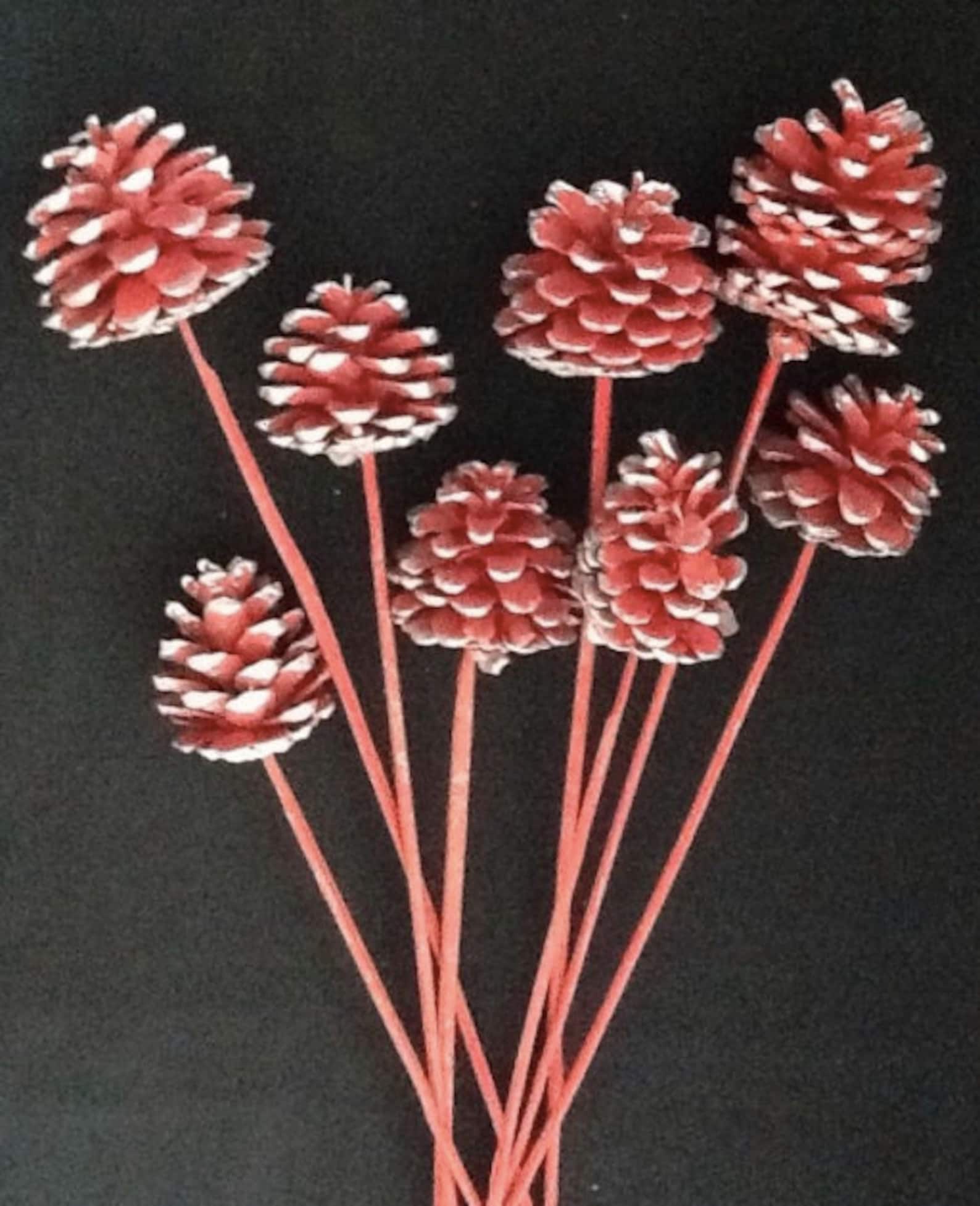 Red Pine Cones On Sticks 8pc/Cones/Pine Cones On Sticks/Rustic Etsy