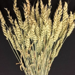 Wheat Green Branches/Curly Twigs/Branches/Centerpiece decor/ Decoration Branches/Gold Branches/Glitter Branches/Silver Branches