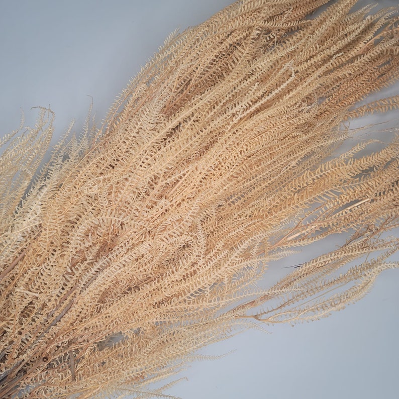 24-4oz BLEACHED ADIANTUM FERN Decorfiller decorfillerHome DecorVaseDecorCenterpiece DecorFaux FlowerSilk FlowersFlower Bouquet