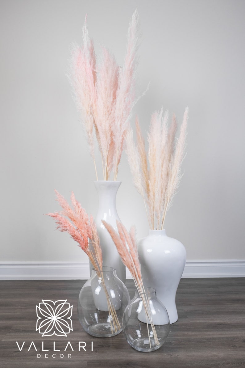 Light Pink/blush Pampas Grass/assorted Sizes/home Decor/rustic Etsy