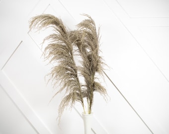 New 1 Piece NATURAL Brown Pampas Grass/Assorted Sizes/Home Decor/Rustic Wedding Decor/ Brown Pampas/ Ivory Pampas/ Natural Pampas/
