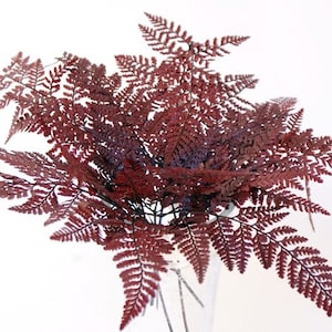 7-10&quot; Mini Burgundy Preserved Fern/Blue pampas Grass/Assorted Sizes/Home Decor/Wedding Decor/Dusty Blue Wedding/Mini Pampas/Wedding Decor