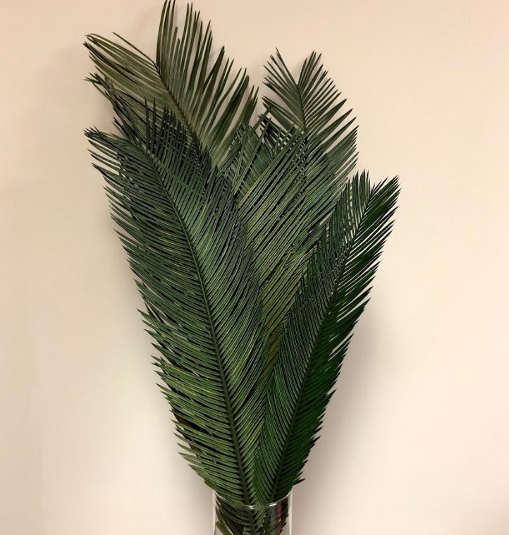 PALM LEAVES/Branches/Centerpiece decor/ Winter wonderland/Decoration Branches/Gold Branches/Silver Branches/ Yellow/ Green/ Brown
