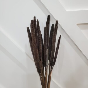 28&quot; Taupe Babala on Sticks/Branches/Centerpiece decor/ Winter wonderland/Decoration Branches/Gold Branches/Home Decor