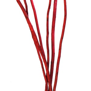 60&quot; Red Kamboi Sticks/Willow Natural Branch/Branches/Centerpiece Decor/ Winter/Decoration Branches/Branches/Twig Branches