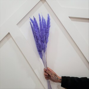 10pc MINI 30&quot; LILAC Pampas /Purple pampas Grass/Assorted Sizes/Home Decor/Wedding Decor/Dusty Blue Wedding/Mini Pampas/Wedding Decor