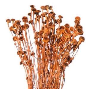 20&quot; Orange Wild Daisy/Fall/Thanksgiving/Table Setting/Home Decor/Faux Decor/Faux Decoration/Fall Season/Indoor Decor/Artificial