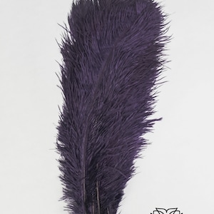 10 pièces 8-10" 10-12" 12-14" 14-16"Plume d'autruche violette 14-16"