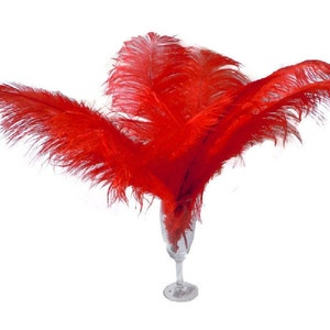10 Pcs 8-10" 10-12" 12-14" 14-16" Red Ostrich Feather Plume 14-16"/Plume Feathers/Milinery/Craft Feathers