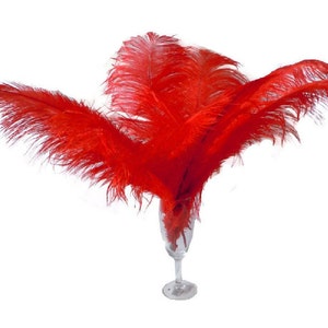 10 Pcs 8-10&quot; 10-12&quot; 12-14&quot; 14-16&quot; Red Ostrich Feather Plume 14-16&quot;/Plume Feathers/Milinery/Craft Feathers