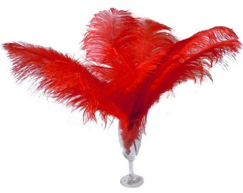 10 Pcs 8-10&quot; 10-12&quot; 12-14&quot; 14-16&quot; Red Ostrich Feather Plume 14-16&quot;/Plume Feathers/Milinery/Craft Feathers