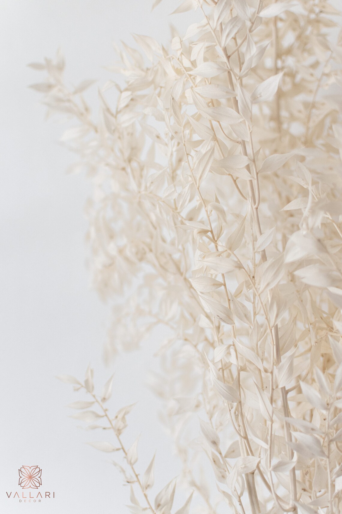 Ruscus Fillers 30