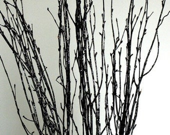 22-30" Black Birch SPARKLE Deco Twigs/Branches/Centerpiece decor/ Decoration Branches/Gold Branches/Glitter Branch/ Branches/Rustic Decor