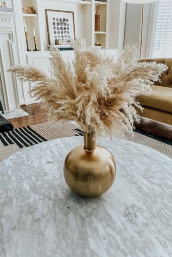 1pc 30 Cream, Golden or Ivory Pampas Grass 28 12-14 Fluff/pampas  Bundle/rustic Wedding Decor/brown Pampas/ivory Pampas/ Natural Pampas/ 