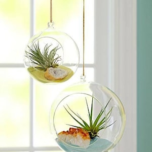 3&quot; Round Bulb Terrarium, Geometric Glass Terrarium, Modern Planter, Wedding Centerpiece, Air Plant Terrarium, Succulent Planter