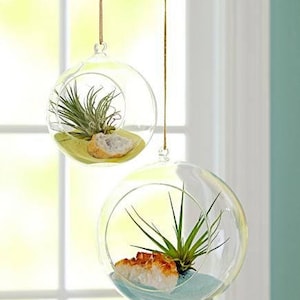 3" Round Bulb Terrarium, Geometric Glass Terrarium, Modern Planter, Wedding Centerpiece, Air Plant Terrarium, Succulent Planter