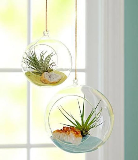 20 Pcs Hanging Glass Terrarium Greenery Wedding Decor Glass Wedding  Ceremony Decor Wedding Decoration Hanging Candle Holders Glass Decor -   Denmark