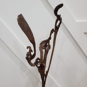 May include: A brown, dried, twisted branch with multiple stems and a unique, organic shape. The branch is a natural piece of driftwood, perfect for a rustic home decor accent.