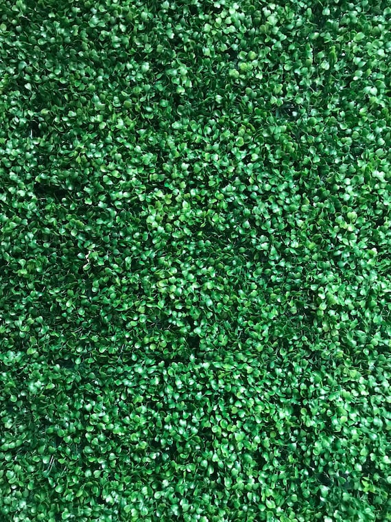 NEW GREEN MOSS Balls, 4/6/8/ Decorative Balls, Greenery Decor Ideas, Green  Bawl Filler, Moss Decoration, Green Table Decor 