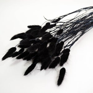 50PC Black Bunny Tails/Pampas Bundle/Home Decor/Rustic Wedding Decor/Dried Bunny Tail