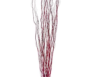 Burgundy Willow Natural Branch/Curly Twigs/Branches/Centerpiece decor/ Winter/Decoration Branches/Branches/Glitter Branches/Silver Branches