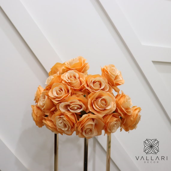 Rosa de color naranja claro/Rosa violeta/Flores. Rosa de color naranja claro/Rosa violeta/Flores.