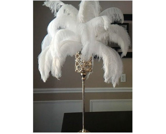 10 Pcs X 8-26 Black Ostrich Feather Plume for Centerpieces and