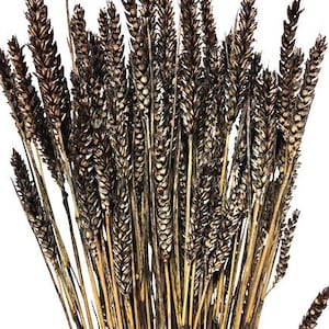 24&quot; Black Wheat Triticum/Fall/Thanksgiving/Table /Home Decor/Faux Decor/Faux Decoration/Fall Season/Indoor Decor/Artificial/Decor
