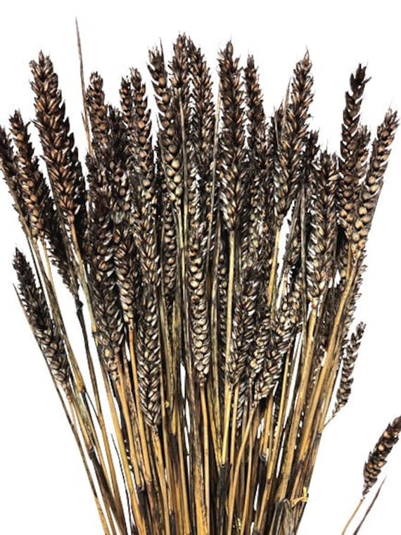 60 cm schwarzer Weizen  Triticum/Herbst/Danksagung/Tisch/Innendekor/Faux-Dekor/Faux-Dekoration/Herbstsaison/Innendekor/ Knstlich/Dekor - Etsy sterreich
