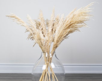 6-102 Stück - 2,5 ft x Creme, Golden oder Elfenbein Pampasgras / Pampas Bundle / Wohnkultur / rustikale Hochzeitsdekoration / braune Pampas / Elfenbein Pampas / natürliche Pampas