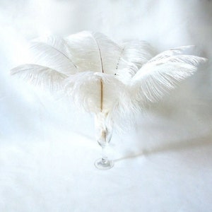 10 Pcs 8-10" 10-12" 12-14" 14-16" 16-18" 20-22" 24-26" White Ostrich Feather Plume for Centrepieces and Craft!