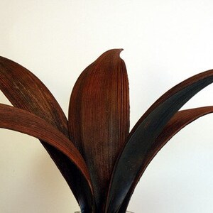 16-20&quot; Brown Coco Dish Stems/Branches/Centerpiece decor/ Winter wonderland/Decoration Branches/Gold Branches/Home Decor
