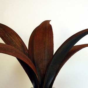 16-20" Brown Coco Dish Stems/Branches/Centerpiece decor/ Winter wonderland/Decoration Branches/Gold Branches/Home Decor