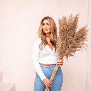 6pc Natural Brown Pampas Grass/Pampas Bundle/Home Decor/Wedding Decor/Brown Pampas/Ivory Pampas/Natural Pampas/2.5ft (30in) pampas