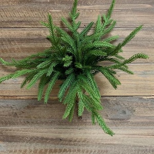 12&quot; Fresh Touch Norfolk Pine/Faux Spray/Autumn Decor/Holiday Decor/Fall Decor/Thanksgiving Decor/Wedding Decor