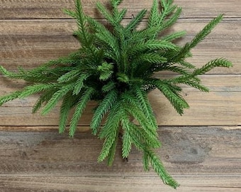 12" Fresh Touch Norfolk Pine/Faux Spray/Autumn Decor/Holiday Decor/Fall Decor/Thanksgiving Decor/Wedding Decor