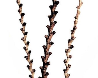 Bâtons de buriti naturels de 59 po./Branches/Décoration de centre de table/Pays des merveilles de l'hiver/Branches décoratives/Branches dorées/Branches noires