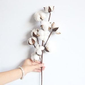 24 Cotton Stem/Branches/Centerpiece decor/ Winter wonderland/Decoration Branches/Gold Branches/Glitter Branches/Silver Branch image 1