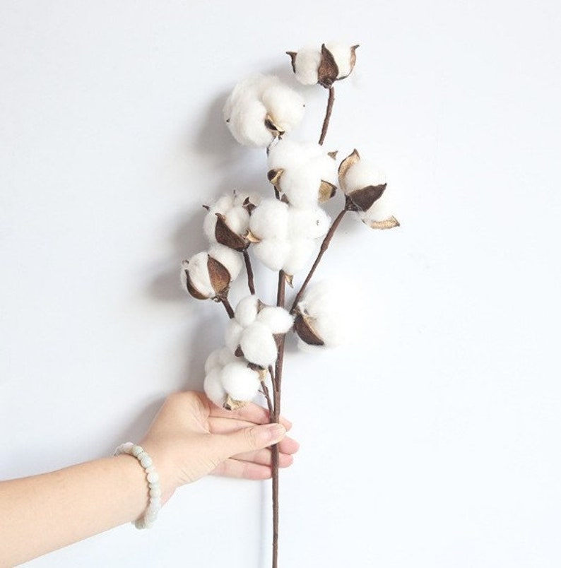 24 Cotton Stem/Branches/Centerpiece decor/ Winter wonderland/Decoration Branches/Gold Branches/Glitter Branches/Silver Branch image 1